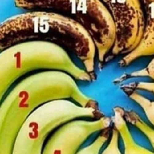 A Perfect Banana Chart Exists And What Even Is The World