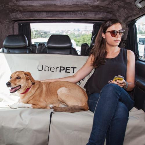 Uber Has Launched A Pet-Friendly Service Called Uber Pet