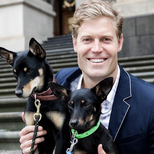 You'll Never Guess How Much Dr Chris Brown Got Paid For His First Vet Job!