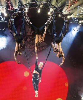 You Can Get A Private Aerial Acrobatics Lesson From The Queen Of Stunts Herself, P!nk!