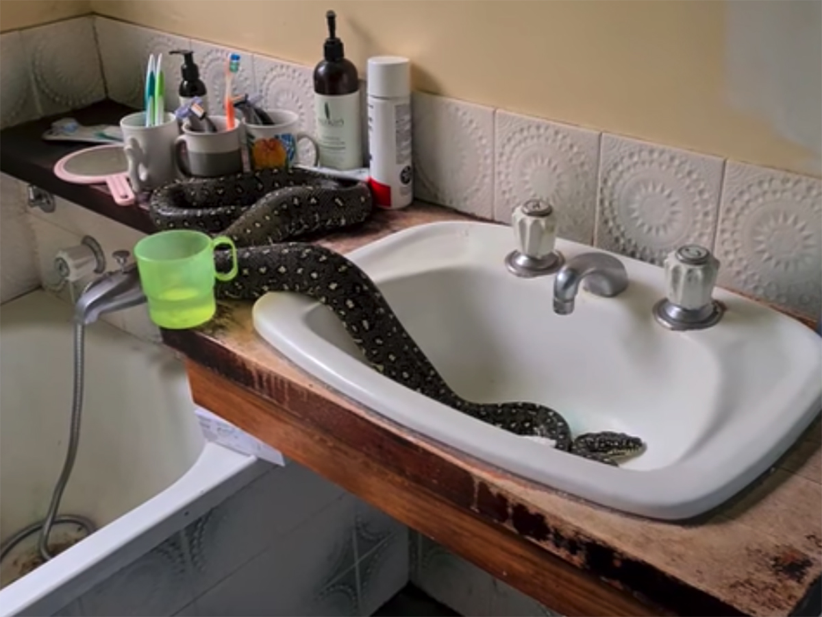 python tank cleaner bathroom sink