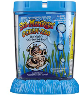 Need Some New Buddies? Kmart Is Now Selling Sea Monkeys!