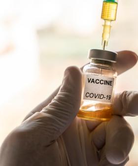 Hamster Trial 'Positive' For Virus Vaccine