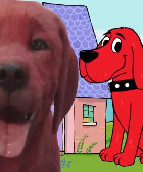 The New Clifford Redesign Is Giving Everyone The Heebee-Jeebees