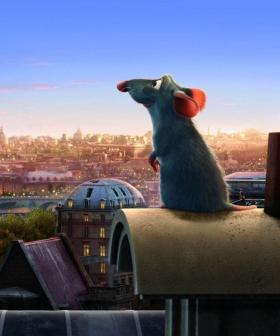 TikTok Users Have Written An Entire Musical Based On The Pixar Movie Ratatouille And It's Amazing!