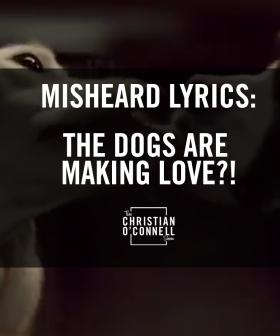 Misheard Lyrics: The Dogs are Making Love?!