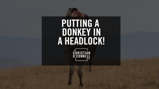 Putting A Donkey In A Headlock!