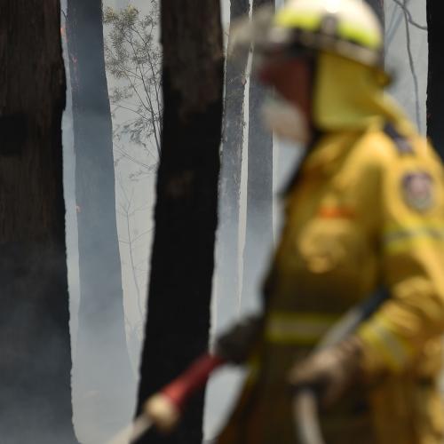 One Year On From The Devastating Bushfires, We're Reminded What Can Be Done With Aussie Spirit