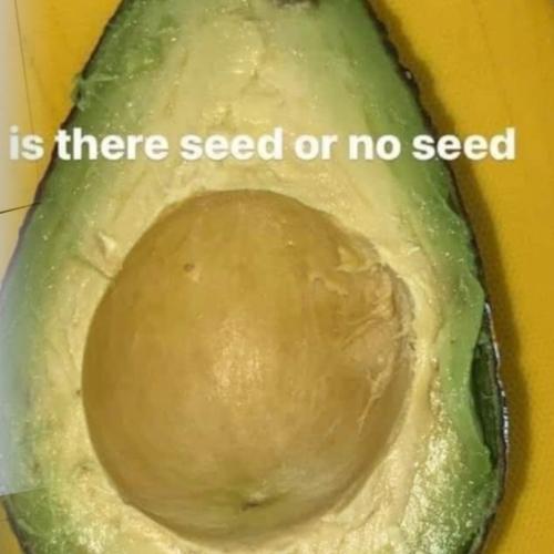 Is There A Seed There Or Not? This Photo Of An Aldi Avocado Has The Internet Totally Divided