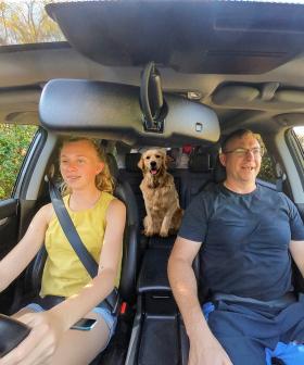 Can You Spot What's Wrong With This Picture Of A Father And Daughter On A Road Trip?