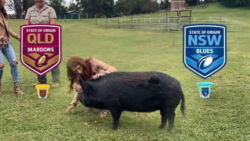 Our Very Own 'Peppa Pig' Predicts The Origin Winner For Game One!