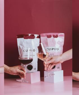 You Can Now Buy Pinot Noir And Rose In A Classy Portable Bag Of Wine! 