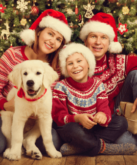 This Brisbane Pop-Up Shop Is Doing Free Family Christmas Photos & They’re Dog Friendly!