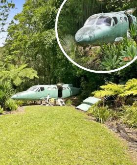 Who Needs a Garden Gnome When You Can Put a Plane In Your Backyard!