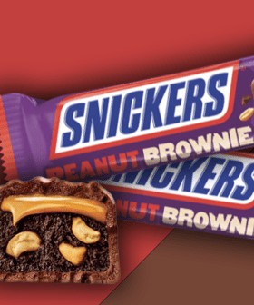 Snickers Made A Brownie Baby!