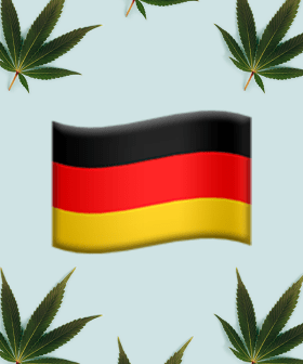 Germany Plans To Legalise Cannabis!