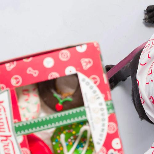Krispy Kreme Is Helping Your Doggo Get Into The Christmas Spirit With Christmas Doggy Biscuits